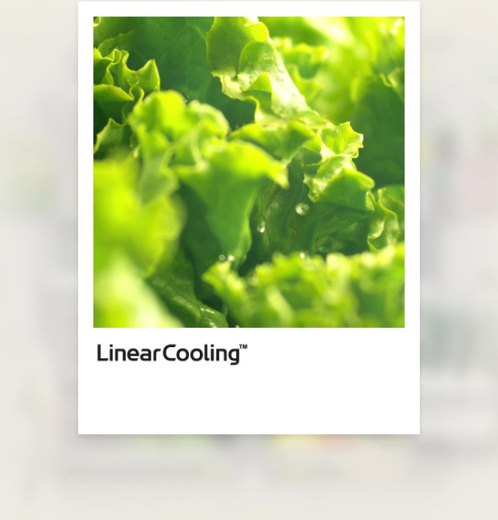 El refrigerador LG con Linear Cooling mantiene los alimentos frescos durante 7 días con un control de temperatura de más o menos 0.5 grados centígrados.